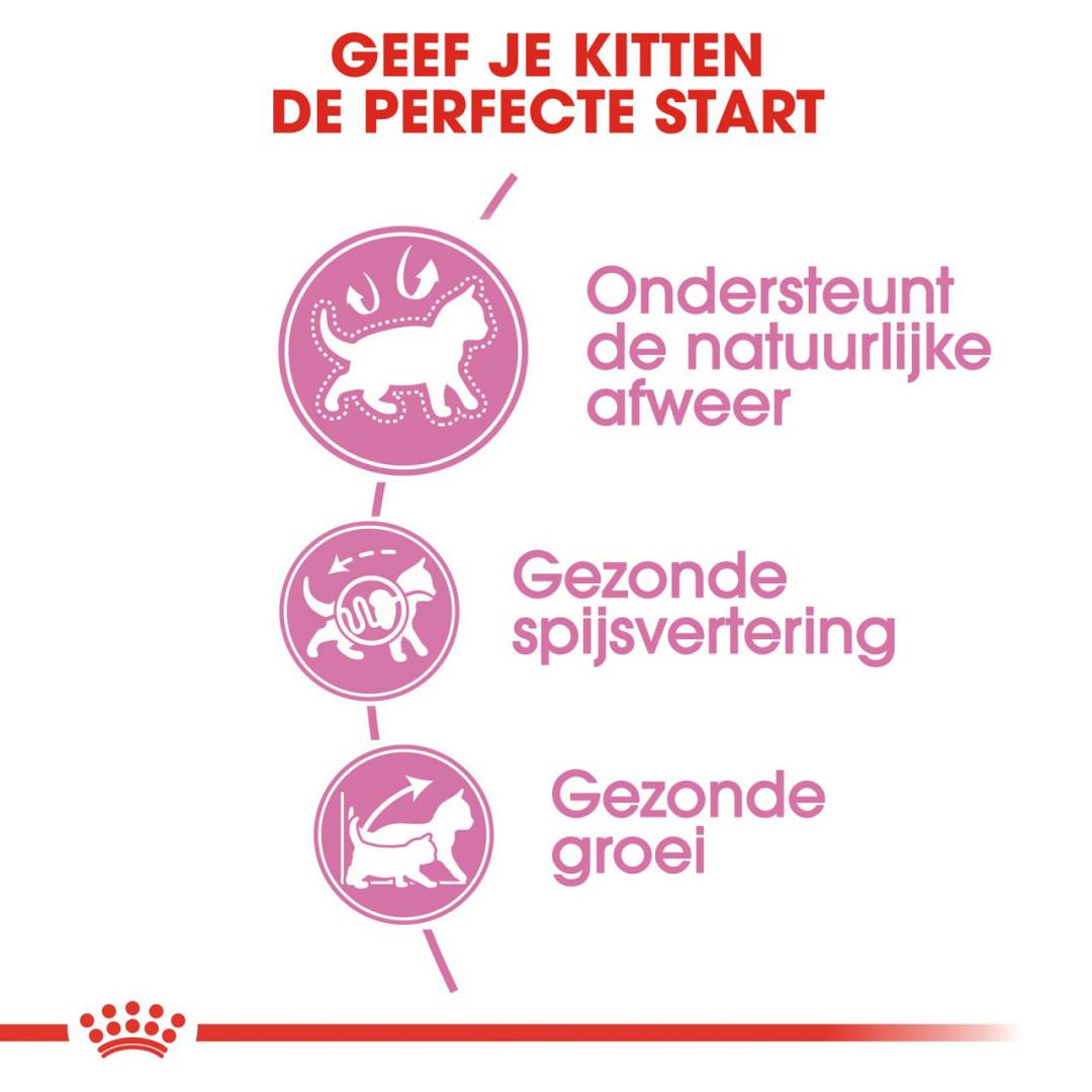 Canin kattenvoer Kitten gr | Van der Bijl