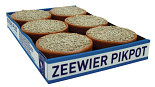 Beyers Zeewierpikpot 6 st