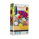 BUZZY® FRIENDLY FLOWERS BLOEMENWEIDE 15M²