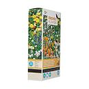 BUZZY® FRIENDLY FLOWERS VLINDERS LAAG 15M² 