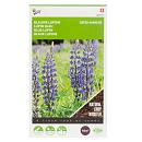 Buzzy® Groenbemester Lupine Blauwe Bittere 100g