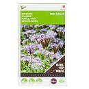 Buzzy® Groenbemester Phacelia tanacetifolia 100g