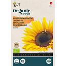 Buzzy® Organic Helianthus, Reuzenzonnebloem giganteus (BIO)