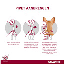 Advantix 250 4 pipetten