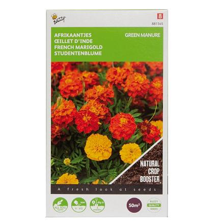 Buzzy® Groenbemester Tagetes Bonita 50g