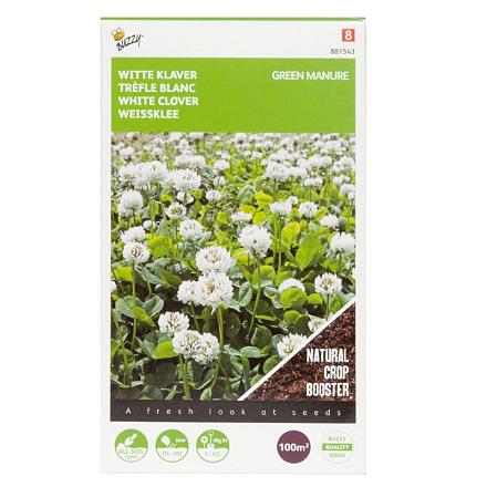 Buzzy® Groenbemester Witte Klaver 100g