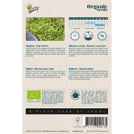 Buzzy® Organic Andijvie Gele Volhart (BIO)