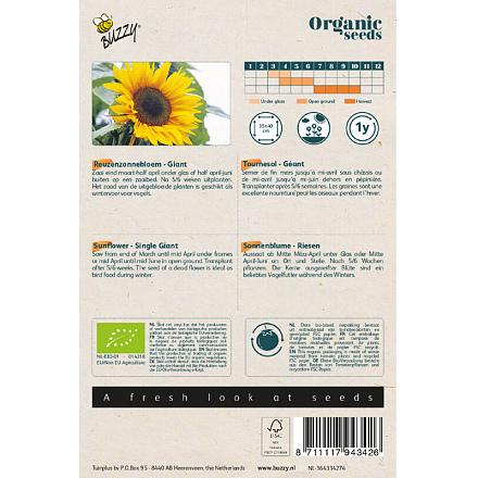 Buzzy® Organic Helianthus, Reuzenzonnebloem giganteus (BIO)