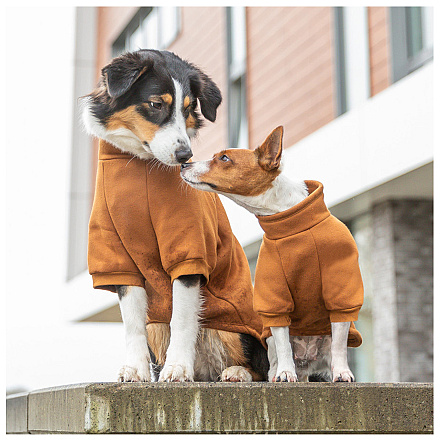 TRIXIE Sweatshirt Citystyle Amsterdam Roest