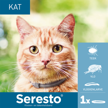 Seresto band voor katten