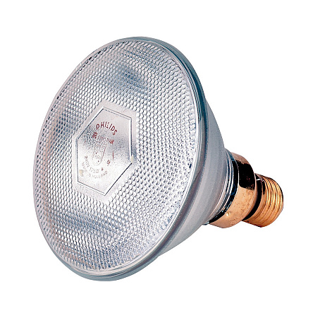 Lamp 100 W wit Philips spaar