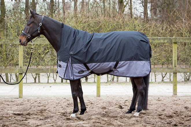 Harry's Horse deken Thor 300gr Highneck jetblack